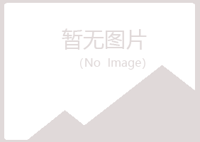 密山匆匆会计有限公司